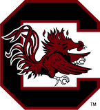 Collegiate athletics program